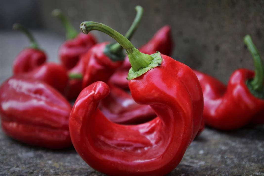 Market fiyatı tarlanın 5 katı! Kansere kalkan oluyor kalp krizini durduruyor - Resim: 5